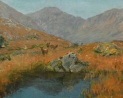 Young Deer in Summer Scottish Highland Glen by Pool of Water