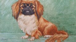 English School 1900-1999 Pekingese Dog "Mimi"