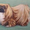 English School Mid 1900-1999 Oil Painting: Pekingese Dog