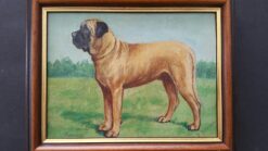 English School Mid 1900-1999 Oil Painting Mastiff Broomcourt Romeo Dog