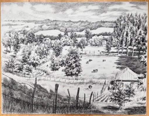 Mid Century French Original Ink Drawing of a Rural Landscape with Cows