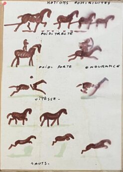 "Notions Possibilités" Study of Horse Gaits and Motion by Robert Ladou