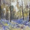 British Impressionist Watercolor of Woodland of Bluebells in the Morning Light