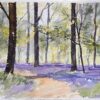 British Impressionist Watercolor of a Sunlit Woodland Scene with Bluebells