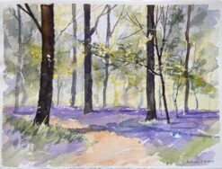 British Impressionist Watercolor of a Sunlit Woodland Scene with Bluebells