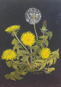 Contemporary British Oil Painting Yellow and White Dandelions