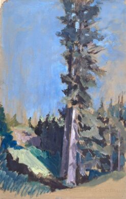 Vintage French Oil Painting Tall Sequoias Tree In Blue Skies