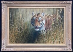 Majestic Tiger Tall Grass Realistic Wildlife British Oil Painting Ornate Frame