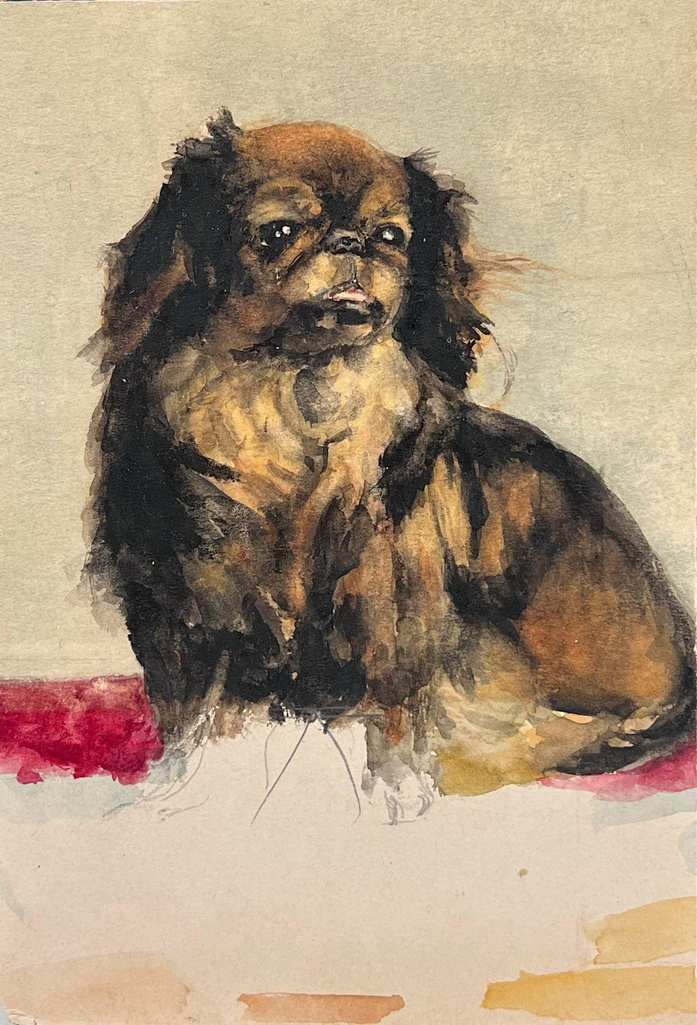 Portrait of a Pekingese Dog Charming Antique English Watercolour Painting