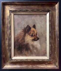 Antique English Oil Painting Portrait of Pomeranian Dog 1800-1899 framed