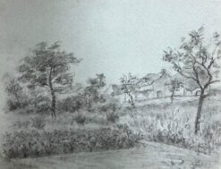 Quiet Countryside Scene with Trees and Distant Cottage Serene Charcoal Drawing