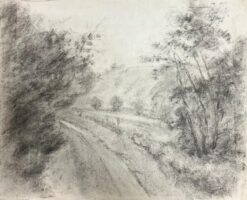 Misty Country Road Through Woodland Atmospheric Charcoal Landscape