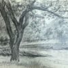 Study of a Tree in a Peaceful Meadow with Branches Stretching Out Landscape