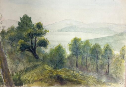 Landscape with a Dense Grove of Evergreen Trees Overlooking Misty Hills