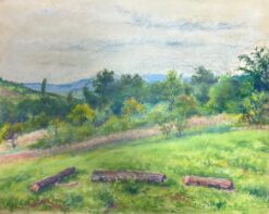 Vintage Landscape with Rolling Hills Countryside with Vibrant Green Meadow