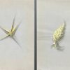 Original Parisian Vintage Jewelry Design Art by Van Cleef & Boucheron Designer