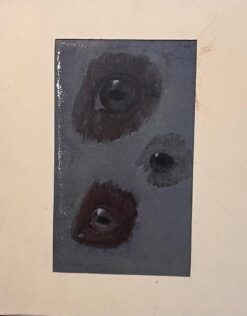 Original French Anatomical Study of Horse's Eyes