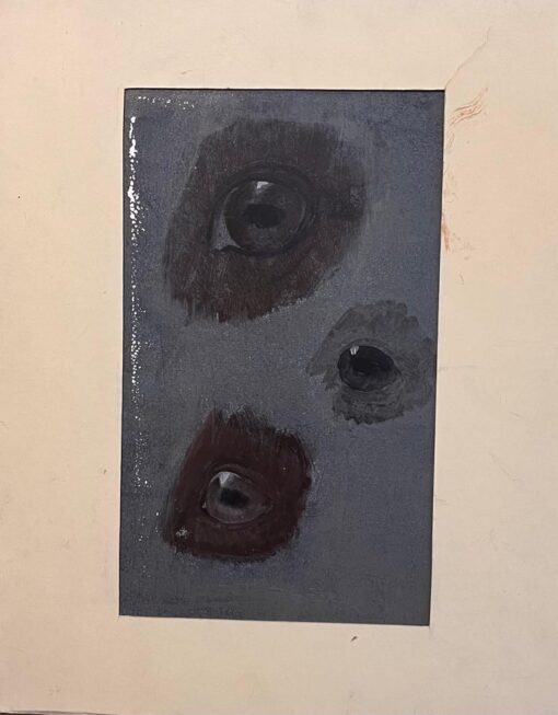 Original French Anatomical Study of Horse's Eyes