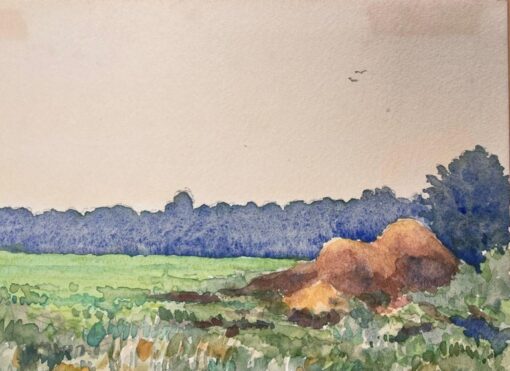 Finely Detailed British Watercolor Topographical the Top of Dunsmore Lane - Image 4
