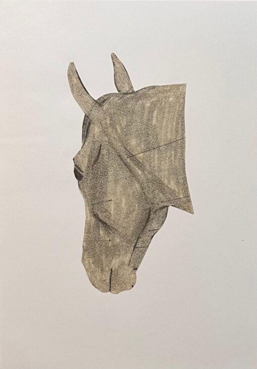 Original French Anatomical Study of Horse's Head