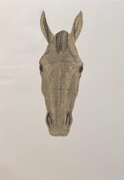 Original French Anatomical Frontal View Study of a Horse's Head