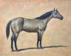 Fine Equestrian Horse Portrait British Oil Painting - Horse standing