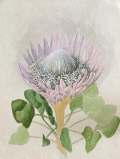 Fine Antique British Botannical Watercolour Painting, circa 1900's Beautiful