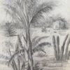 Fine Antique British Botannical Watercolour Painting, circa 1900's