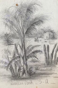 Fine Antique British Botannical Watercolour Painting, circa 1900's