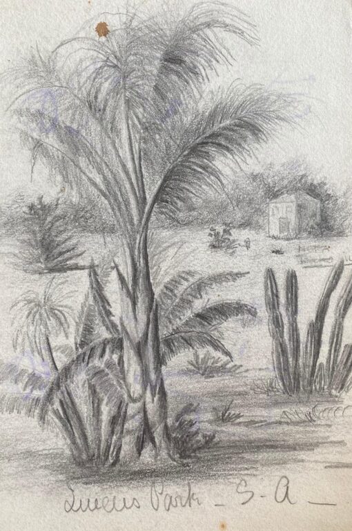 Fine Antique British Botannical Watercolour Painting, circa 1900's
