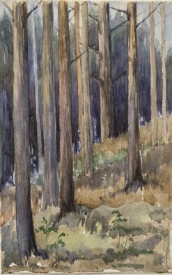 1900's English Impressionist Watercolor Painting Captivating Midnight Forest