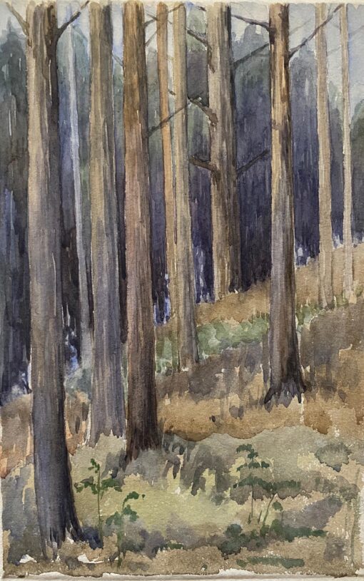 1900's English Impressionist Watercolor Painting Captivating Midnight Forest