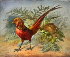 Exotic Rare Pheasants in Natural Landscape 1800-1899 French Oil Painting