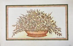 1950's Modernist/ Cubist Painting - Wild Plants In Plant Bowl
