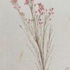Fine Antique British Botannical Watercolour Painting, circa 1900's