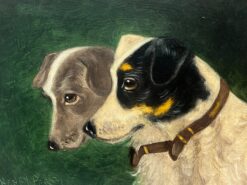 Animal Paintings