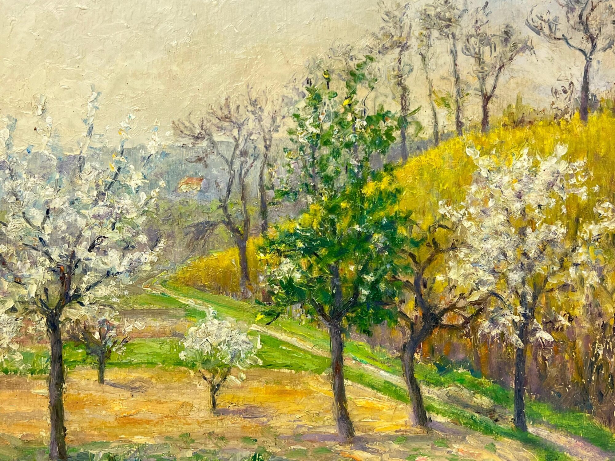 Blossoming Trees in a Spring Orchard, A Pastoral Landscape in Full Bloom