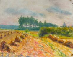 Golden Harvest Fields Under a Cloudy Sky A Pastel Landscape of Rural Tranquility