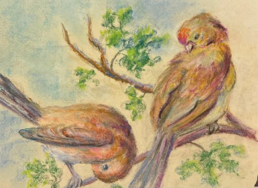 Mid 1900-1999 A Pastel Study of Two Birds in Springtime