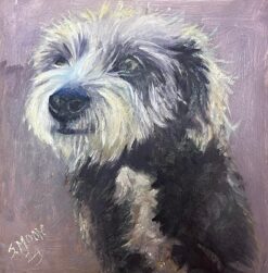 Portrait of a Scruffy Terrier Dog Signed Oil Painting 2024