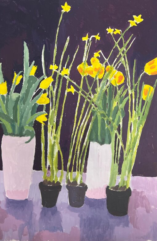 Bright Yellow Daffodils and Tulips In a Deep Purple Background