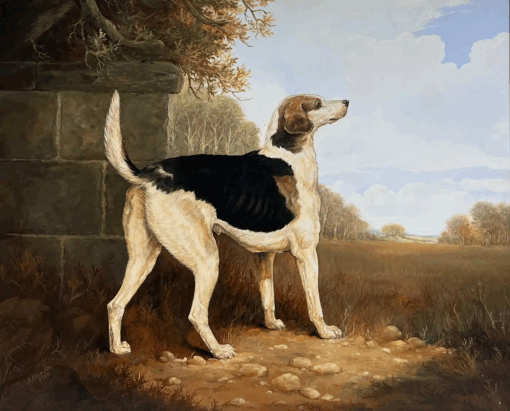 Large British Sporting Art Country House Oil Painting Portrait of Hunting Hound - Image 2