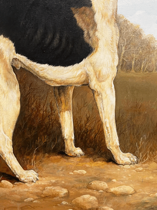 Large British Sporting Art Country House Oil Painting Portrait of Hunting Hound - Image 4