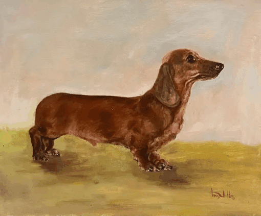 The Dachshund Dog Vintage English Original Oil Painting Signed c. 1970's - Image 2