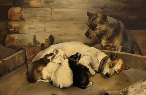 Fine Victorian English Dog Painting Proud Terrier Parents with Puppies, framed - Image 2