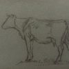 British Chalk Pencil Sketch of a Cow Side Profile Portrait On The Grass