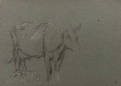 British Chalk Pencil Unfinished Sketch of a Cow's Body and Calf