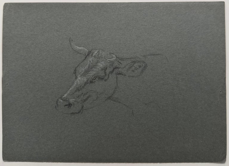 British Chalk Pencil Sketch of a Portrait of a Cow's Face - Image 2