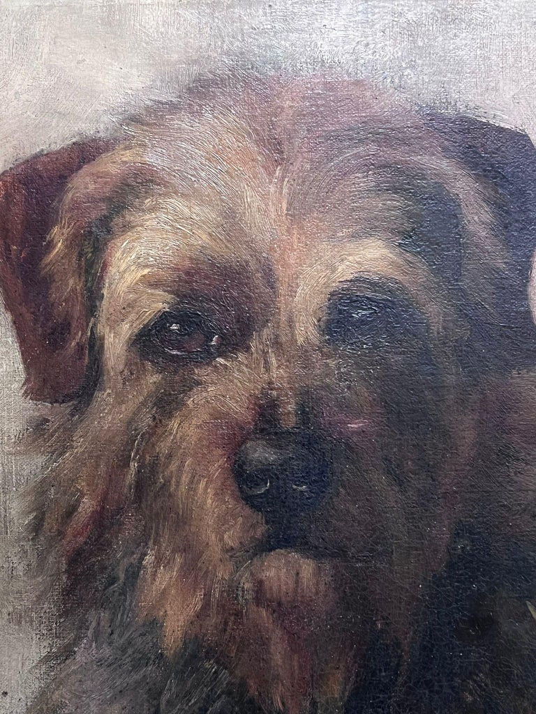 Border Terrier Portrait Signed Oil on Canvas Framed 20th Century - Image 4