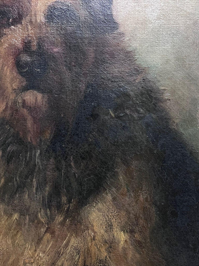 Border Terrier Portrait Signed Oil on Canvas Framed 20th Century - Image 6